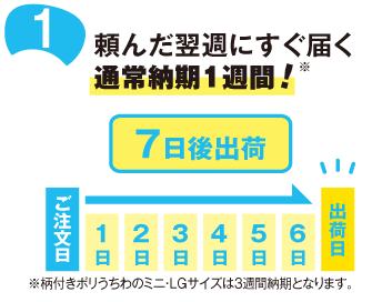 レギュラーに黒骨が同価格で加わりました！