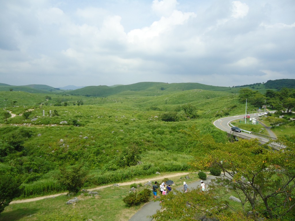 DSC06684