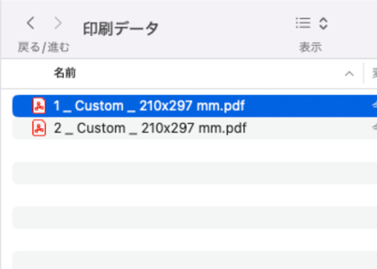 ダウンロードしたPDFを開いている画面