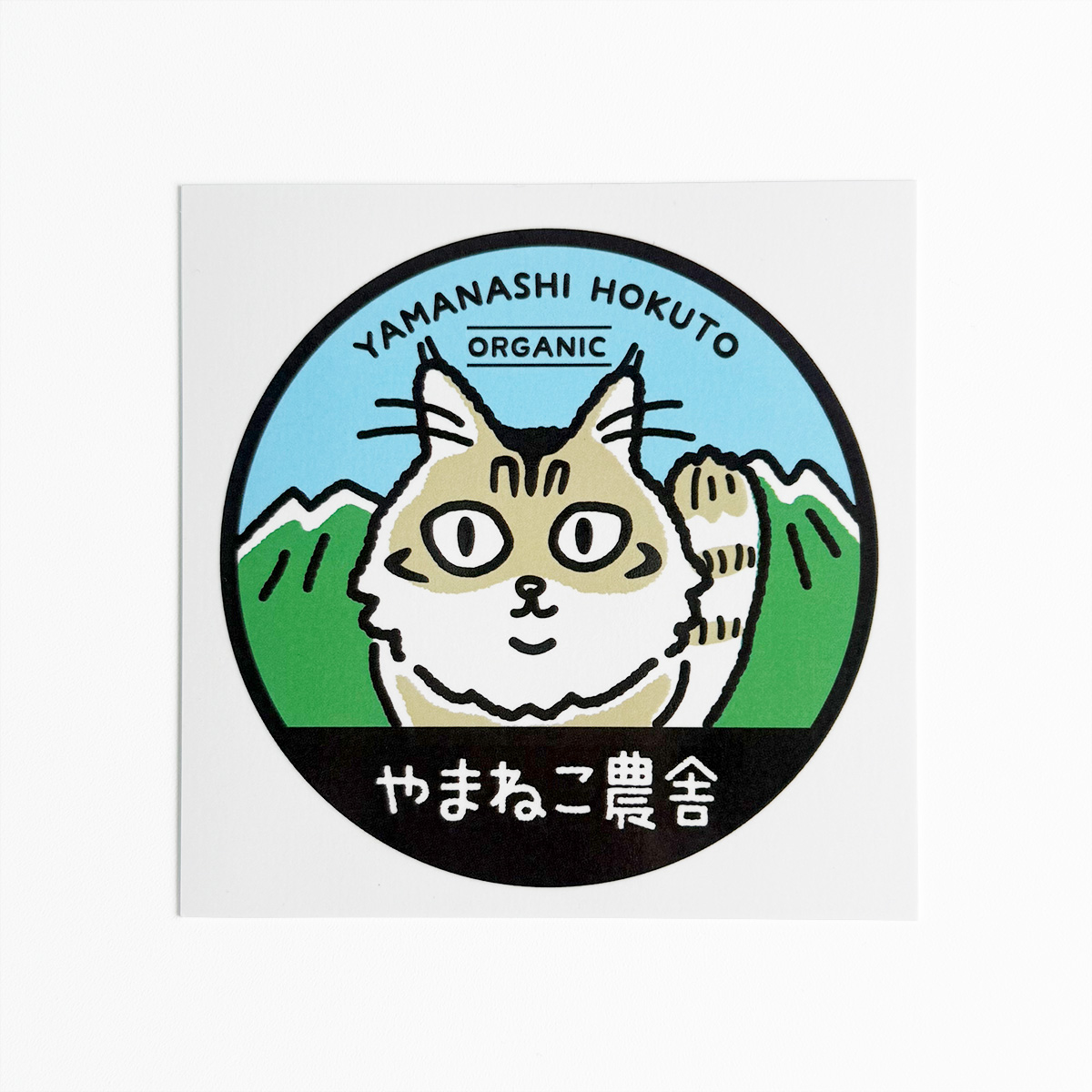 メイン